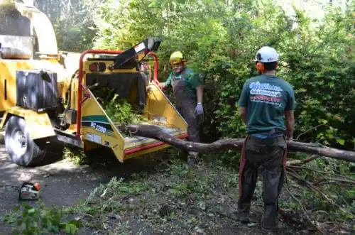 tree services Pleasant Valley